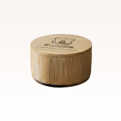 Custom Logo Paperweight